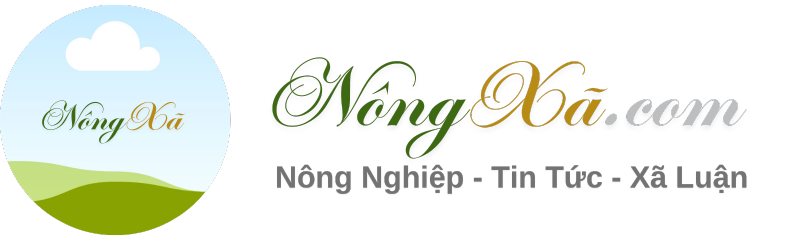 Nông Xã – Tin Tức Nông Thôn, Đổi Mới Mỗi Ngày